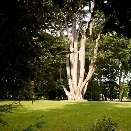 Manoir De La Voute Maison D'Hotes Pouille  ภายนอก รูปภาพ