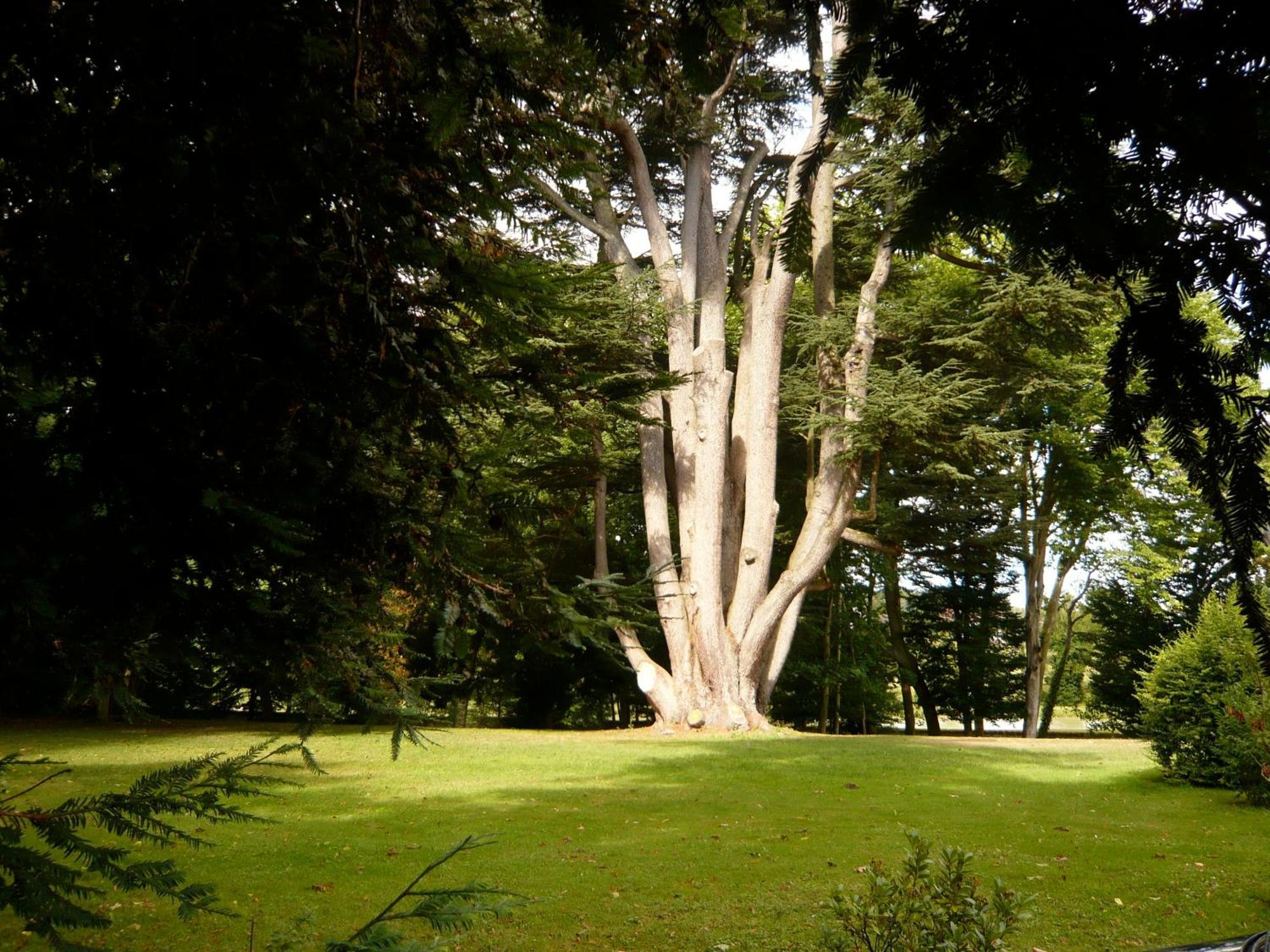 Manoir De La Voute Maison D'Hotes Pouille  ภายนอก รูปภาพ